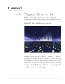 insight 7 Essential Elements of EA
