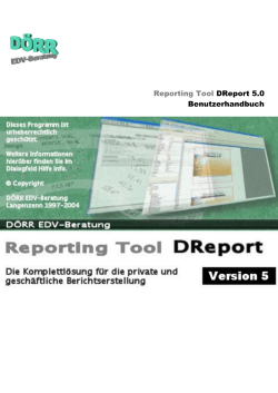 Reporting Tool DReport 5.0 Benutzerhandbuch