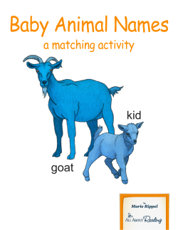Baby Animal Names - All About Learning Press