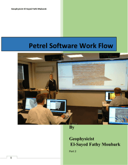 Petrel Software Work Flow part 2