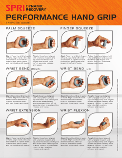 PERFORMANCE HAND GRIP