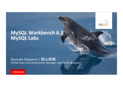 MySQL Workbench 6.3 MySQL Labs