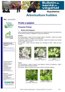 BSV arboriculture Aquitaine NÂ° 9 - DRAAF Poitou