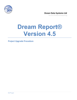 Dream Report project upgrade procedure