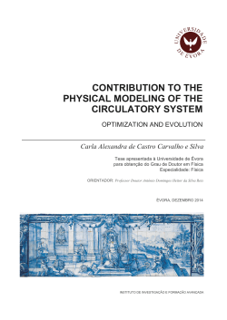 contribution to the physical modeling of the circulatory system
