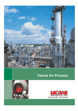 Valves for Process - Dutch Engineering Services Ltd