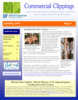 April/ May 2015 - Duval County Extension Office