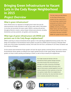 Bringing Green Infrastructure to Vacant Lots in the Cody Rouge