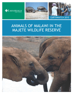 animals of malawi in the majete wildlife reserve