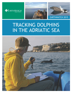 TRACKING DOLPHINS IN THE ADRIATIC SEA