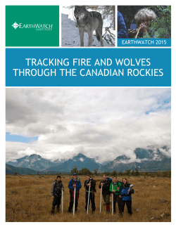 TRACKING FIRE AND WOLVES THROUGH THE