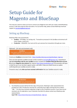Setup Guide for Magento and BlueSnap