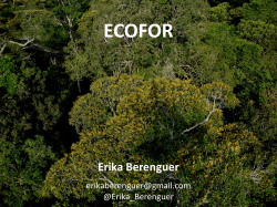 ECOFOR by Erika Berenguer