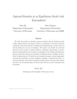 Optimal Subsidies in an Equilibrium Model with
