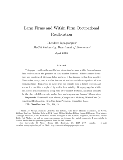 Large Firms and Within Firm Occupational Reallocation