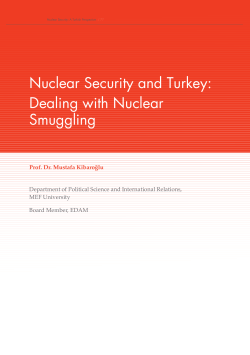 Nuclear Security and Turkey: Dealing with Nuclear Smuggling