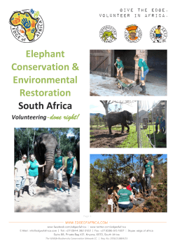 Elephant Conservation & Environmental Restoration South Africa