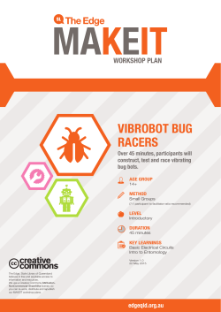 workshop plan vibrobot bug racers