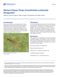Western Flower Thrips (Frankliniella occidentalis [Pergande])1