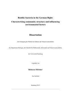Dokument 1 - E-Dissertationen der UHH