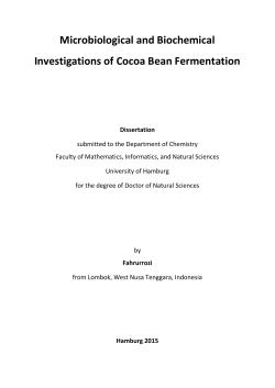 Microbiological and Biochemical Investigations of Cocoa Bean
