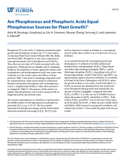 Are Phosphorous and Phosphoric Acids Equal Phosphorous