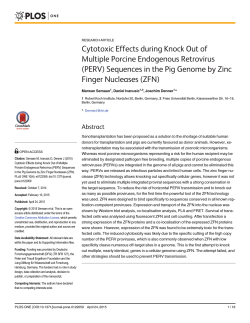 Cytotoxic Effects during Knock Out of Multiple Porcine