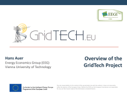 GridTech Project, Hans Auer