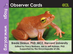 Frog s Observer Cards www.eo lo rg - Encyclopedia of Life Learning