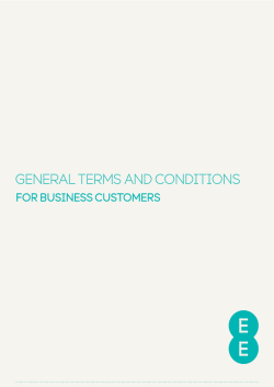 General Terms and Conditions for Business Customers v4.0