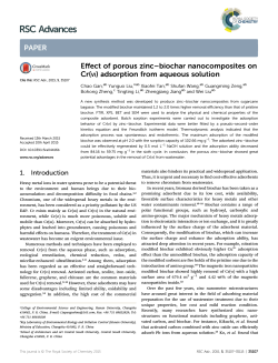 Effect of porous zincâbiochar nanocomposites on Cr(vi) adsorption