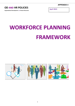 Report - Final - Workforce Strategy appendix 4