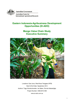 Mango Value Chain Executive Summary English (PDF 475 - EI-ADO