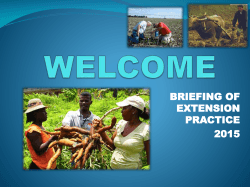 BRIEFING OF EXTENSION PRACTICE 2015