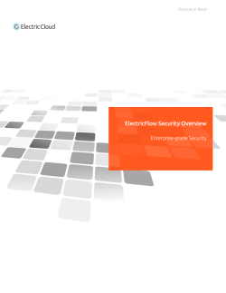 ElectricFlow Security Overview