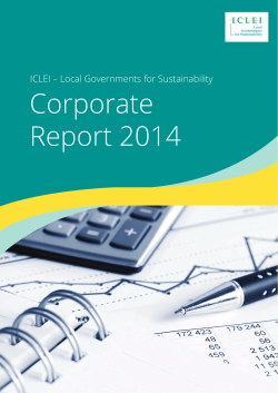 ICLEI Corporate Report 2014