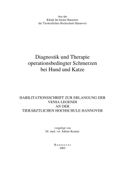 Klinik f&Atilde;&frac14;r kleine Haustiere der Tier&Atilde;&curren;rztlichen Hochschule