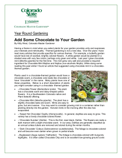 Add Some Chocolate to Garden - CSU Extension in El Paso County