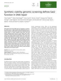 Synthetic viability genomic screening defines Sae2 function in DNA