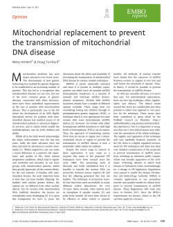 Mitochondrial replacement to prevent the