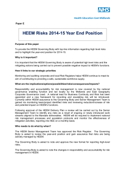 Paper E â HEEM Risks 2014-15 year-end position