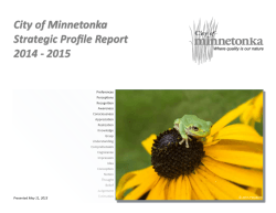 City of Minnetonka Strategic Profile Report 2014