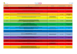 Standard Operating Model (SOM) Level 2 - Detailed