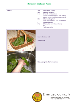 Baerlauch-Pesto - Energeticum Feustle Herz-Hand