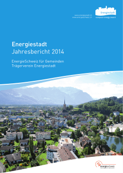 Energiestadt Jahresbericht 2014