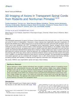 3D Imaging of Axons in Transparent Spinal Cords from