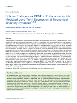 Role for Endogenous BDNF in Endocannabinoid