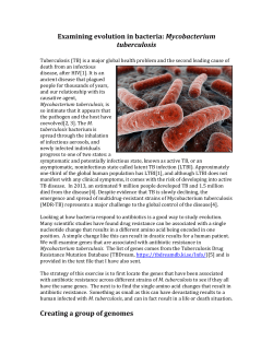 Examining evolution in bacteria: Mycobacterium