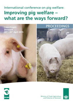 Improving pig welfare â what are the ways forward?