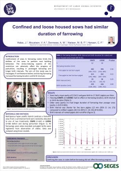 Confined and Loose Housed Sows Had Similar Duration of Farrowing